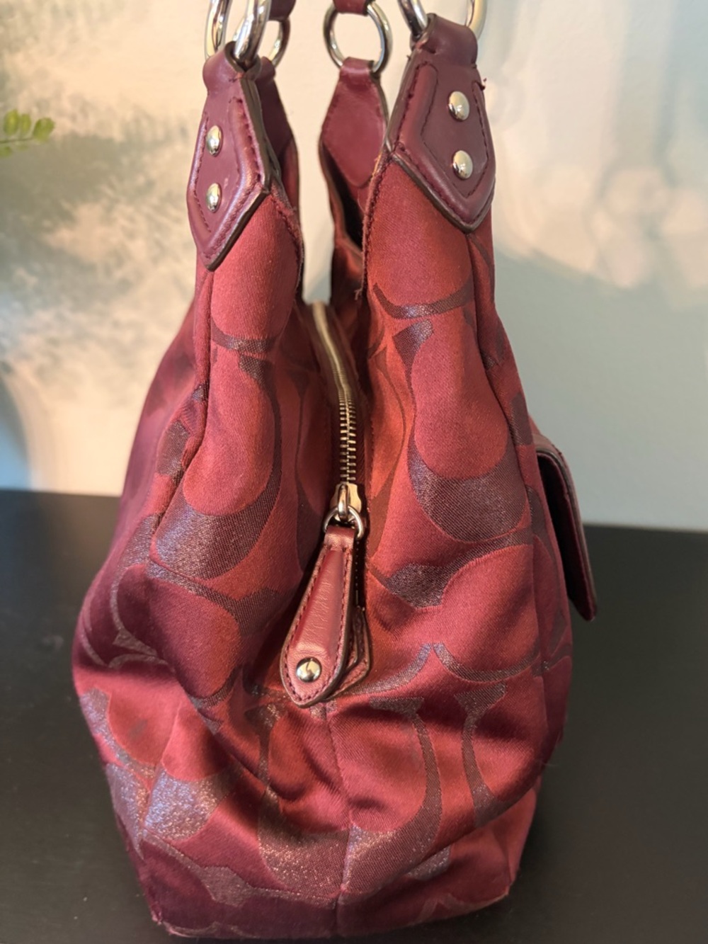 Coach Campbell Signature Hobo Bag - Picture 5 of 12